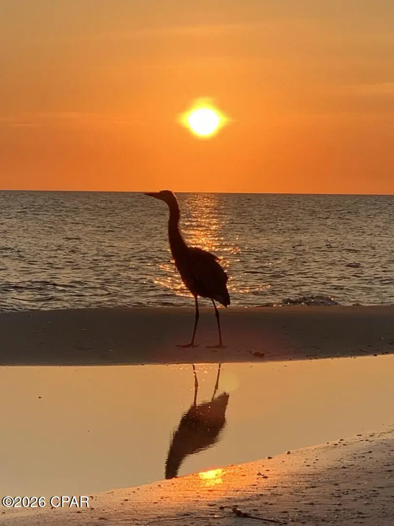 8865 W Highway 98, Port Saint Joe, FL 32456 - #3