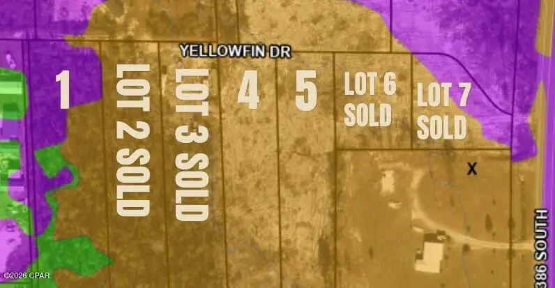 121 Yellowfin Drive, Port Saint Joe, FL 32456 - #3