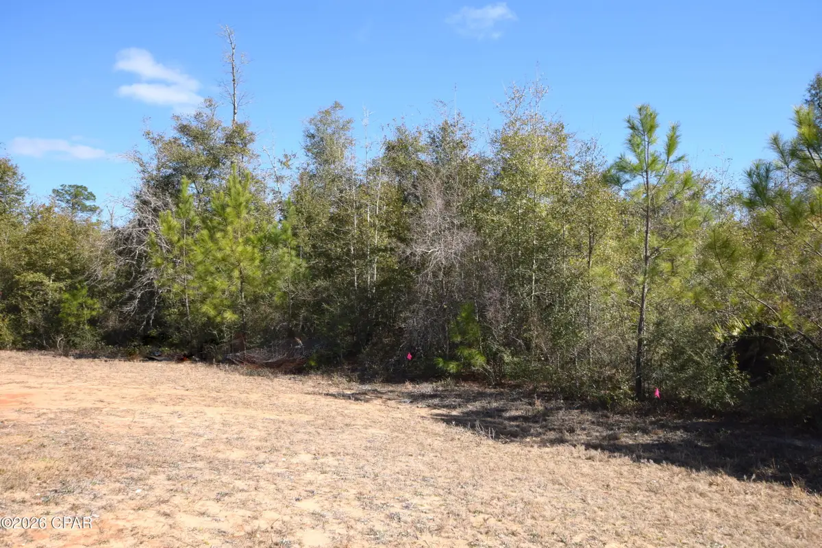 XXX Spirit Court, Alford, FL 32420 - #1