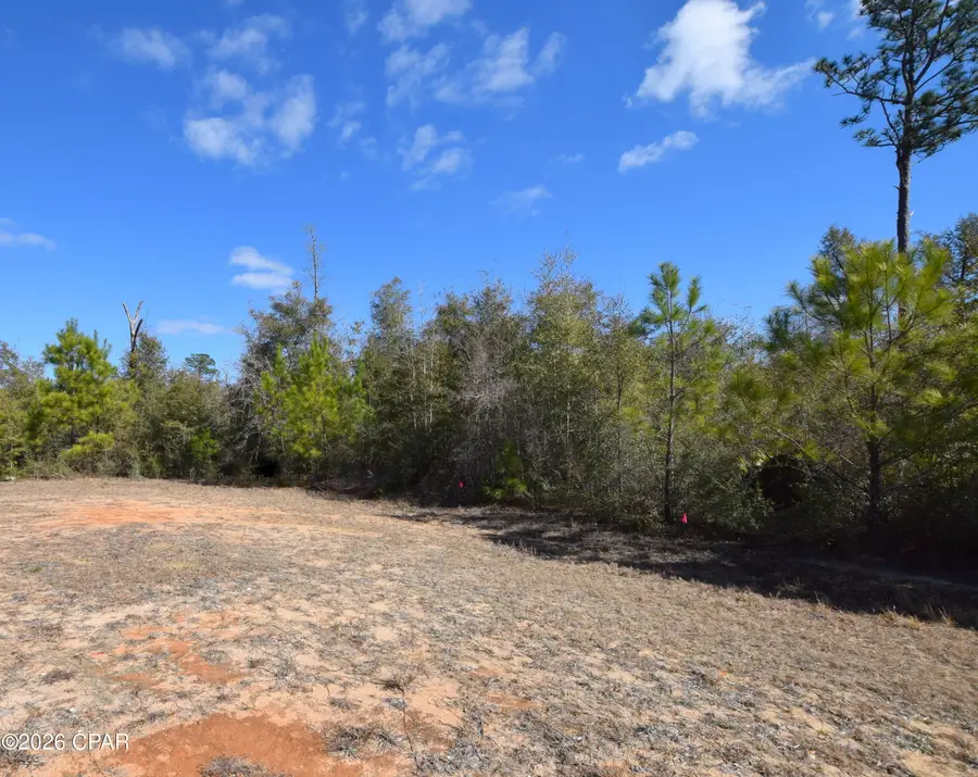 XXX Spirit Court, Alford, FL 32420 - #3