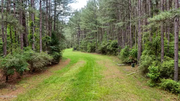 0 Southern Oak Way, Westville, FL 32464