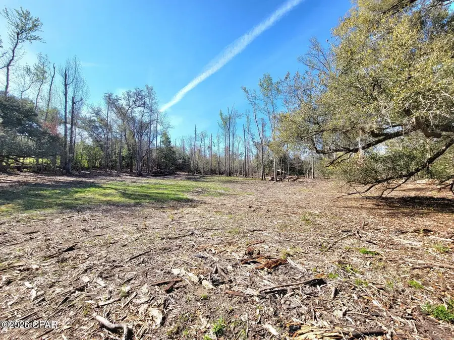 TBD Hwy 90, Sneads, FL 32460 - #2