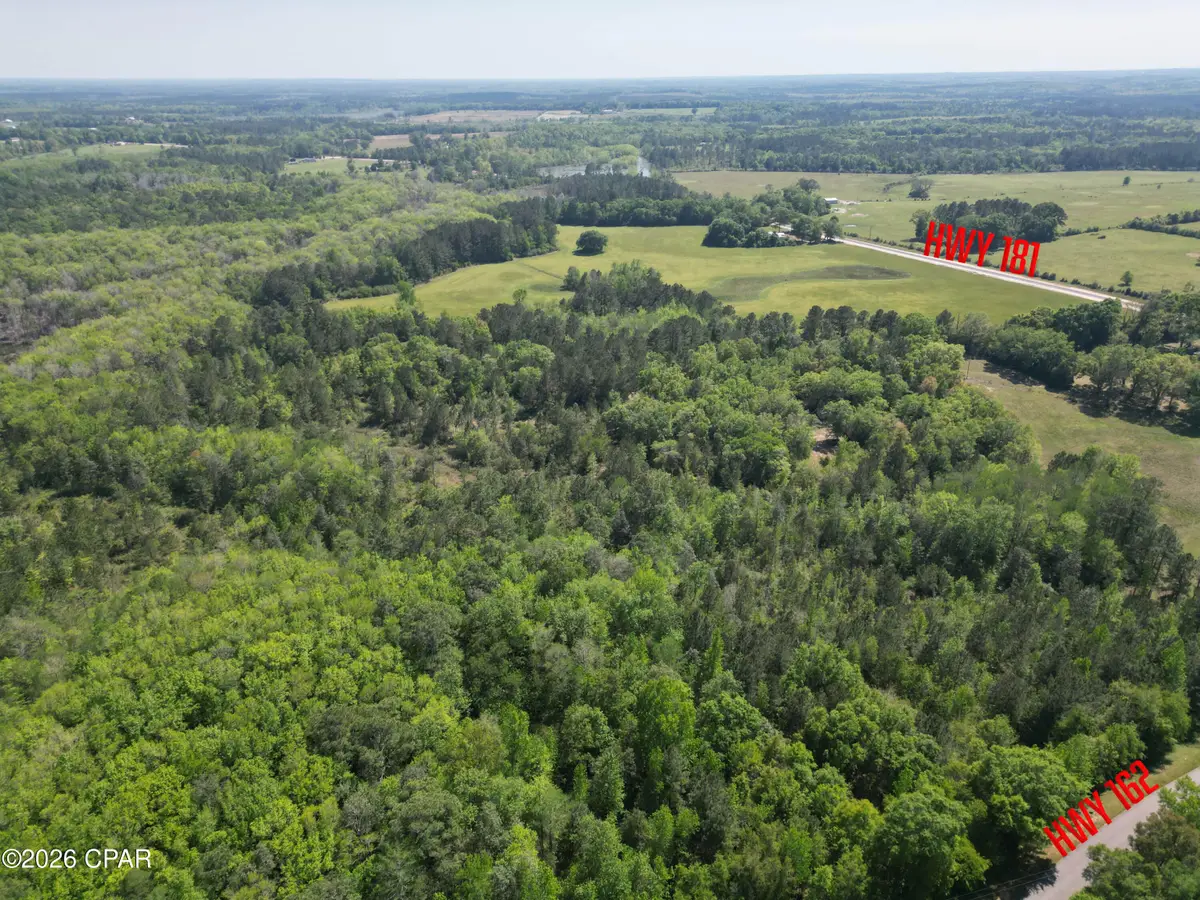 1683 Highway 162, Westville, FL 32464 - #1