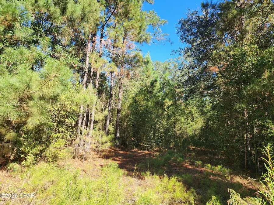 000 Pineridge Church Road, Marianna, FL 32448 - #3