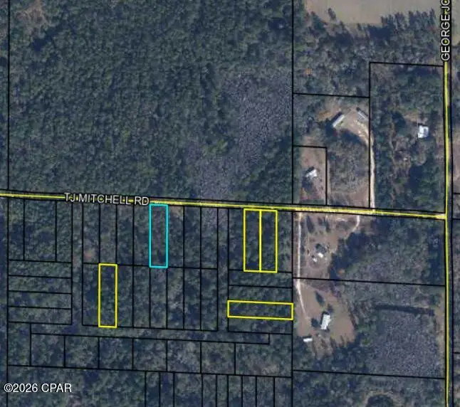 00 T J Mitchell Road, Bonifay, FL 32425 - #3