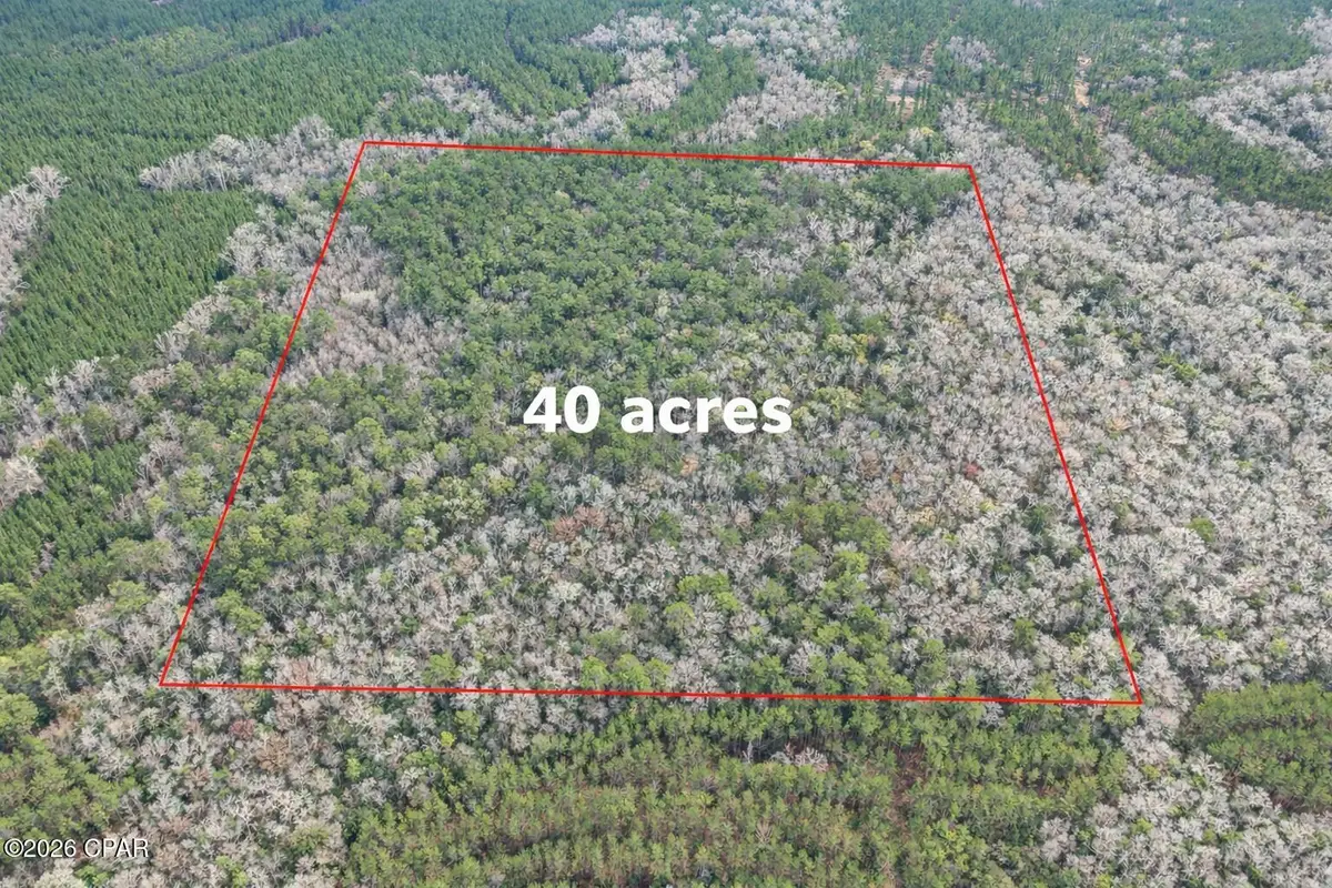 00 Clemmons Rd Road, Bonifay, FL 32425 - #1