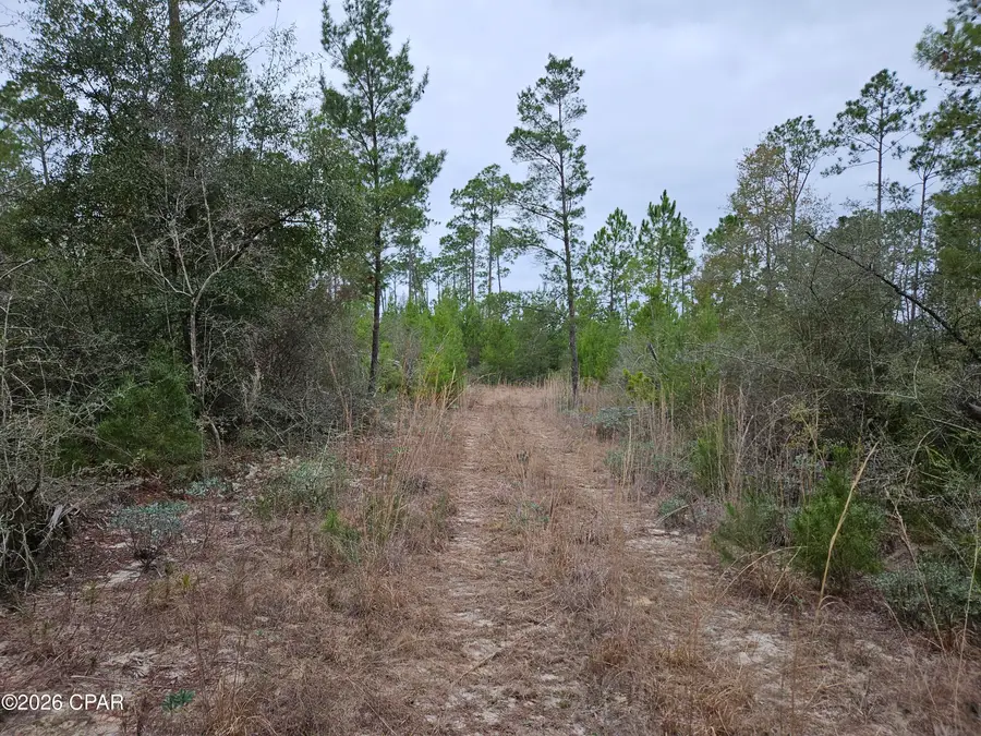 4358 Singer, Youngstown, FL 32466 - #2