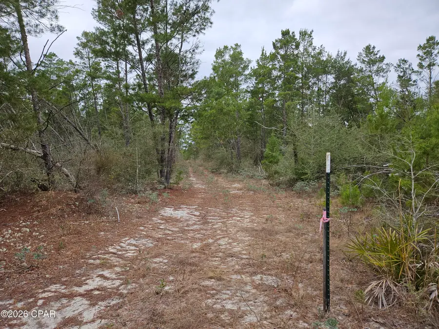 4358 Singer, Youngstown, FL 32466 - #3