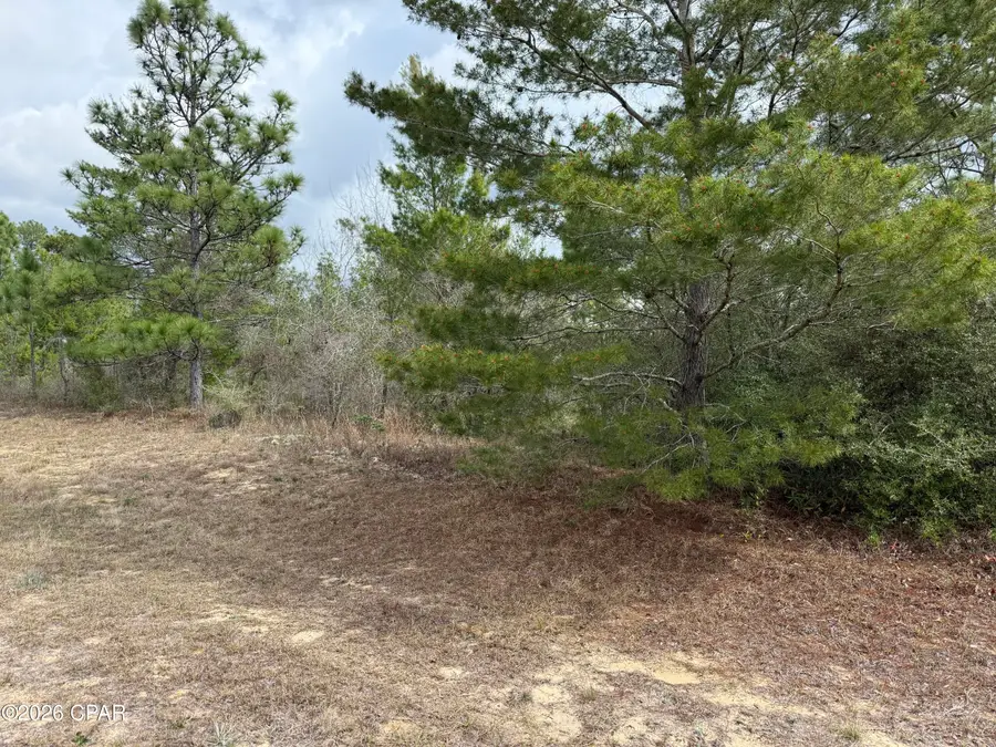 XXX Independence Drive, Chipley, FL 32428 - #3