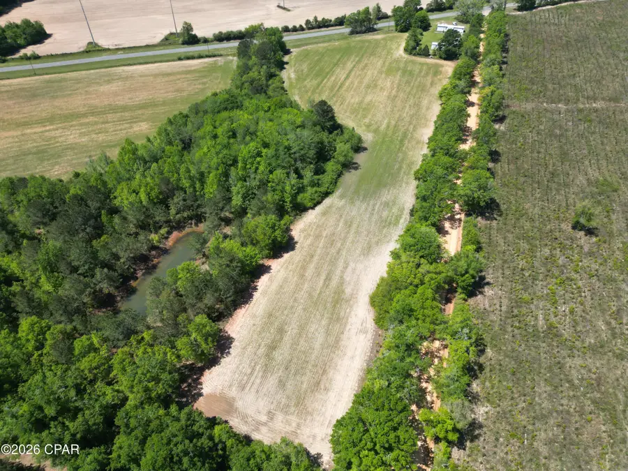 0010 Peanut Road, Graceville, FL 32440 - #3