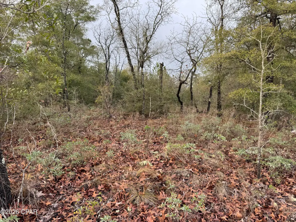 Lot 45 Cavalier Drive, Chipley, FL 32428 - #1