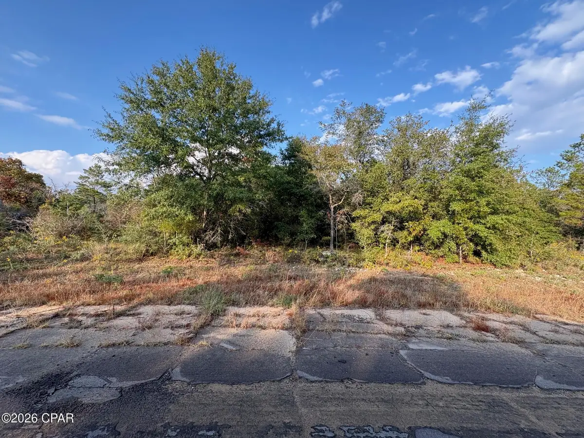 LOT 12 Gondolier Drive, Chipley, FL 32428 - #1