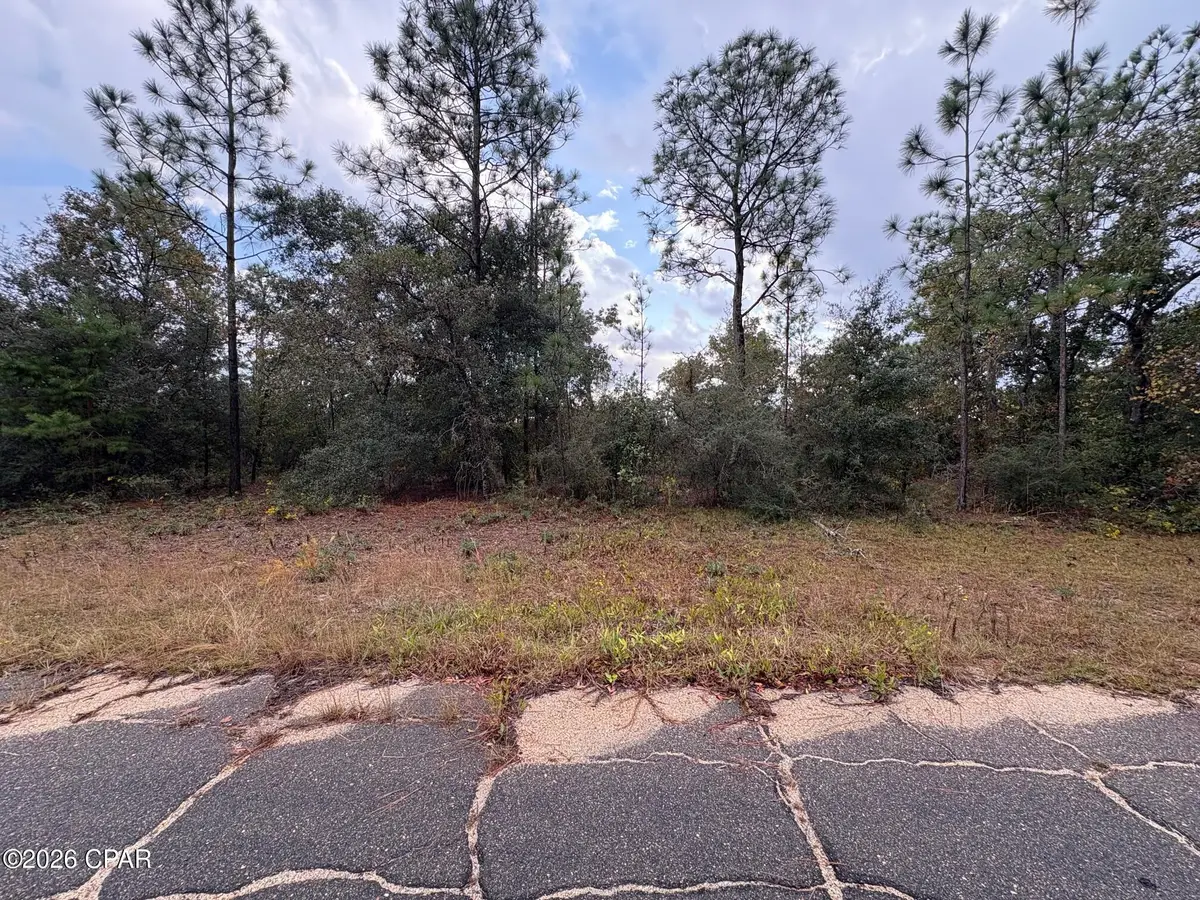 LOT 24 Pinellas Drive, Chipley, FL 32428 - #1
