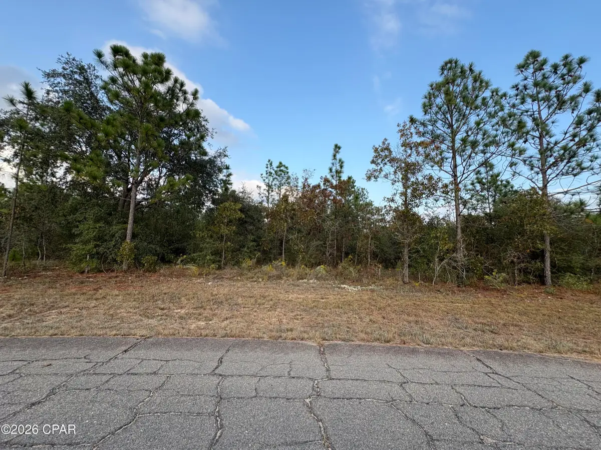 LOT 18 Oslo Place, Chipley, FL 32428 - #1
