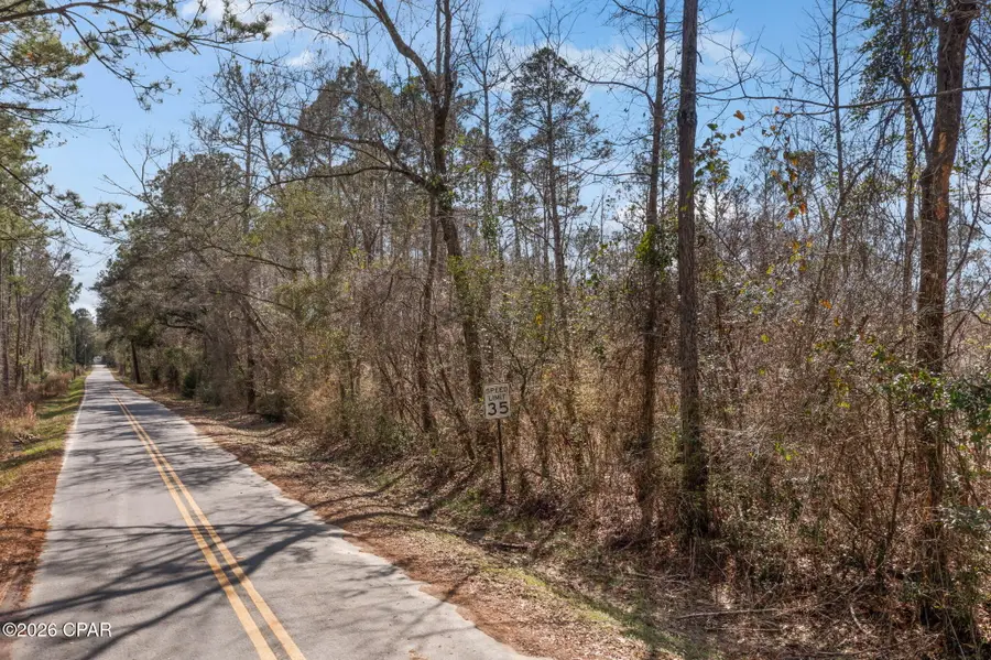 XXX Tiller Road #South Lot, Chipley, FL 32428 - #2