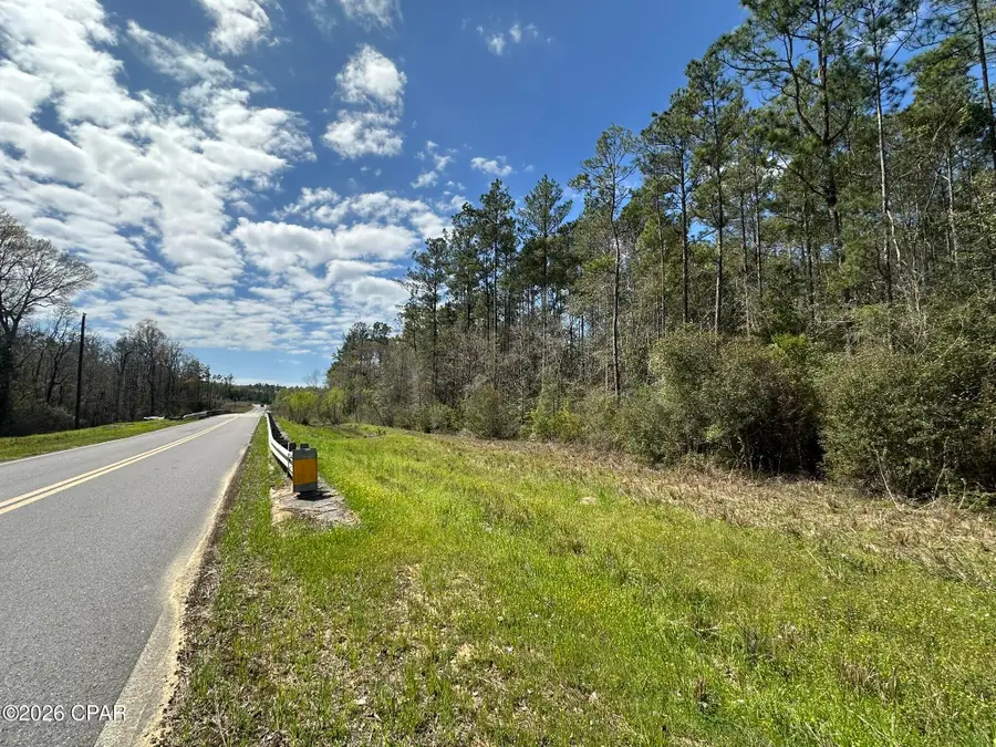 Tract#6409 Davis Road River Road, Caryville, FL 32427 - #2