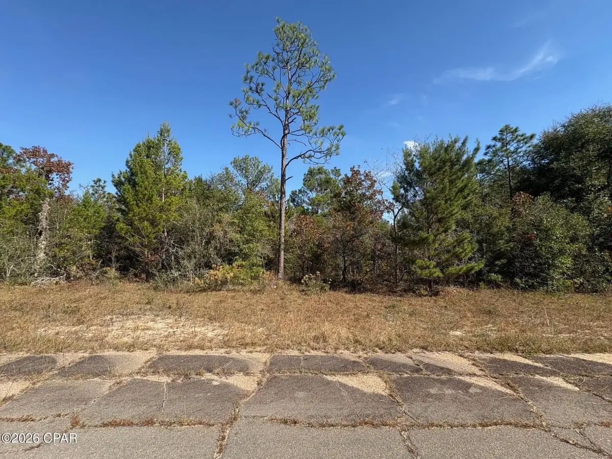 LOT 5 Bonita Drive, Chipley, FL 32428 - #1
