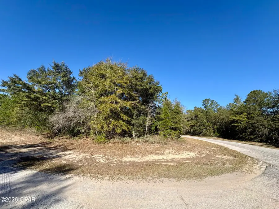 Lot 1 Falcon Drive, Chipley, FL 32428 - #2