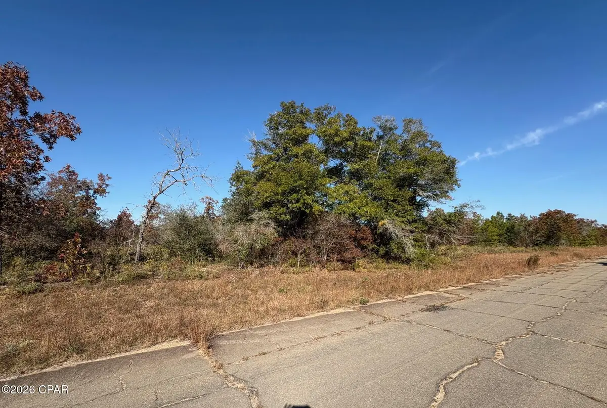 LOT 17 Sheffield Street, Chipley, FL 32428 - #1