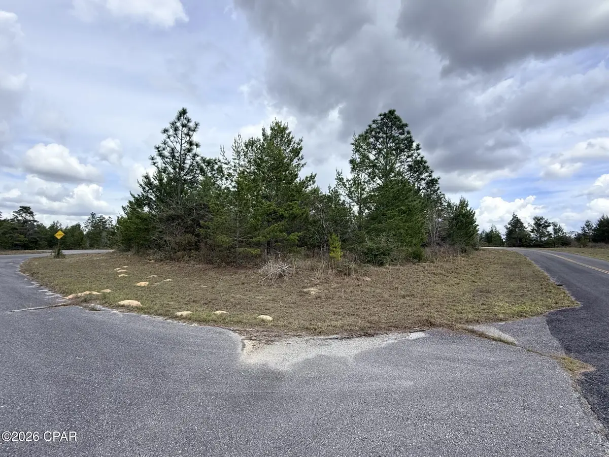 XXX Noah Court, Chipley, FL 32428 - #1