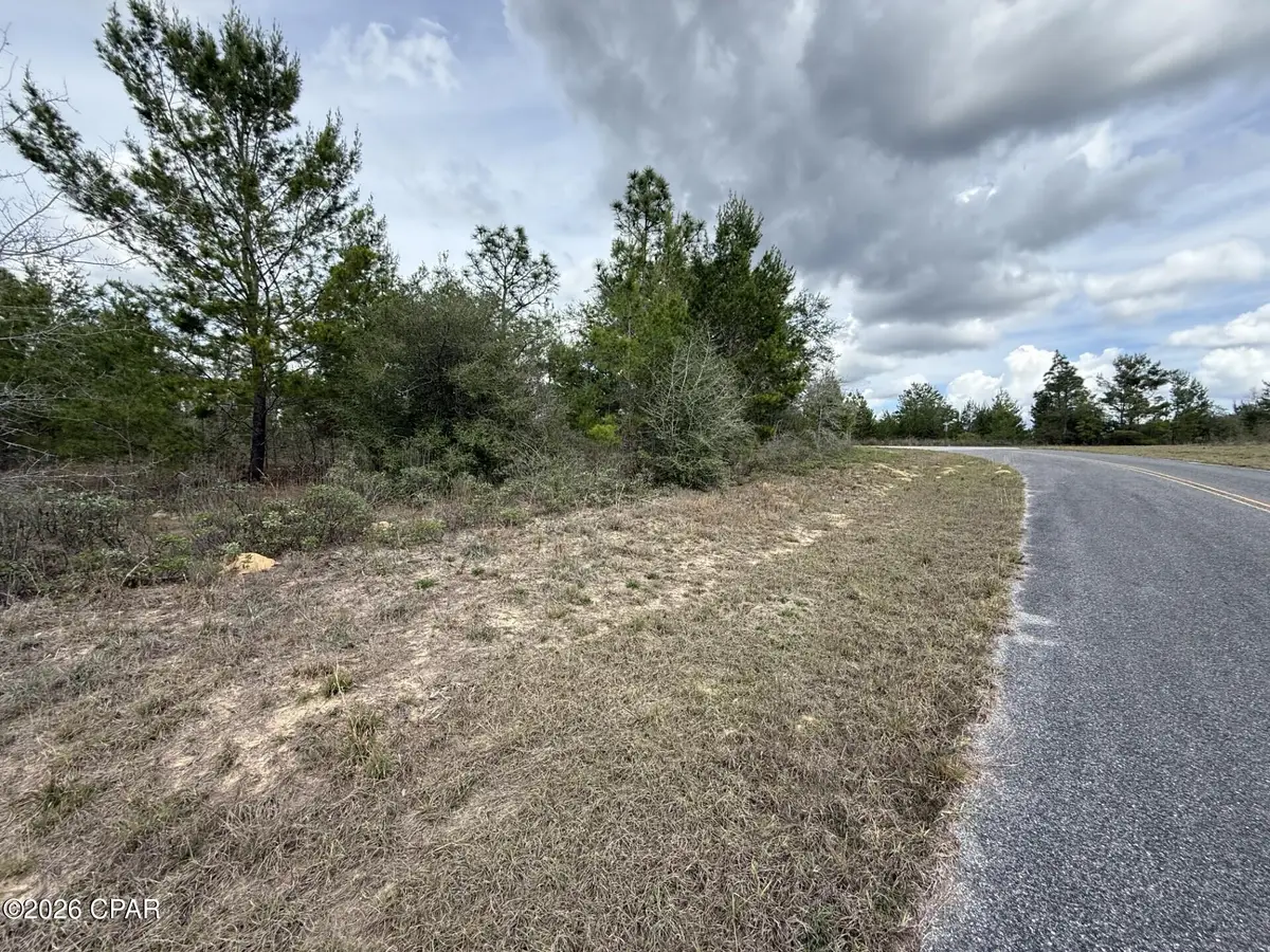 XXX Fairbanks Drive, Chipley, FL 32428 - #1
