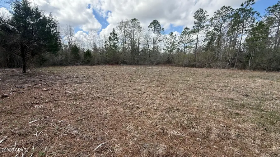 000 Neel Road, Grand Ridge, FL 32442 - #2