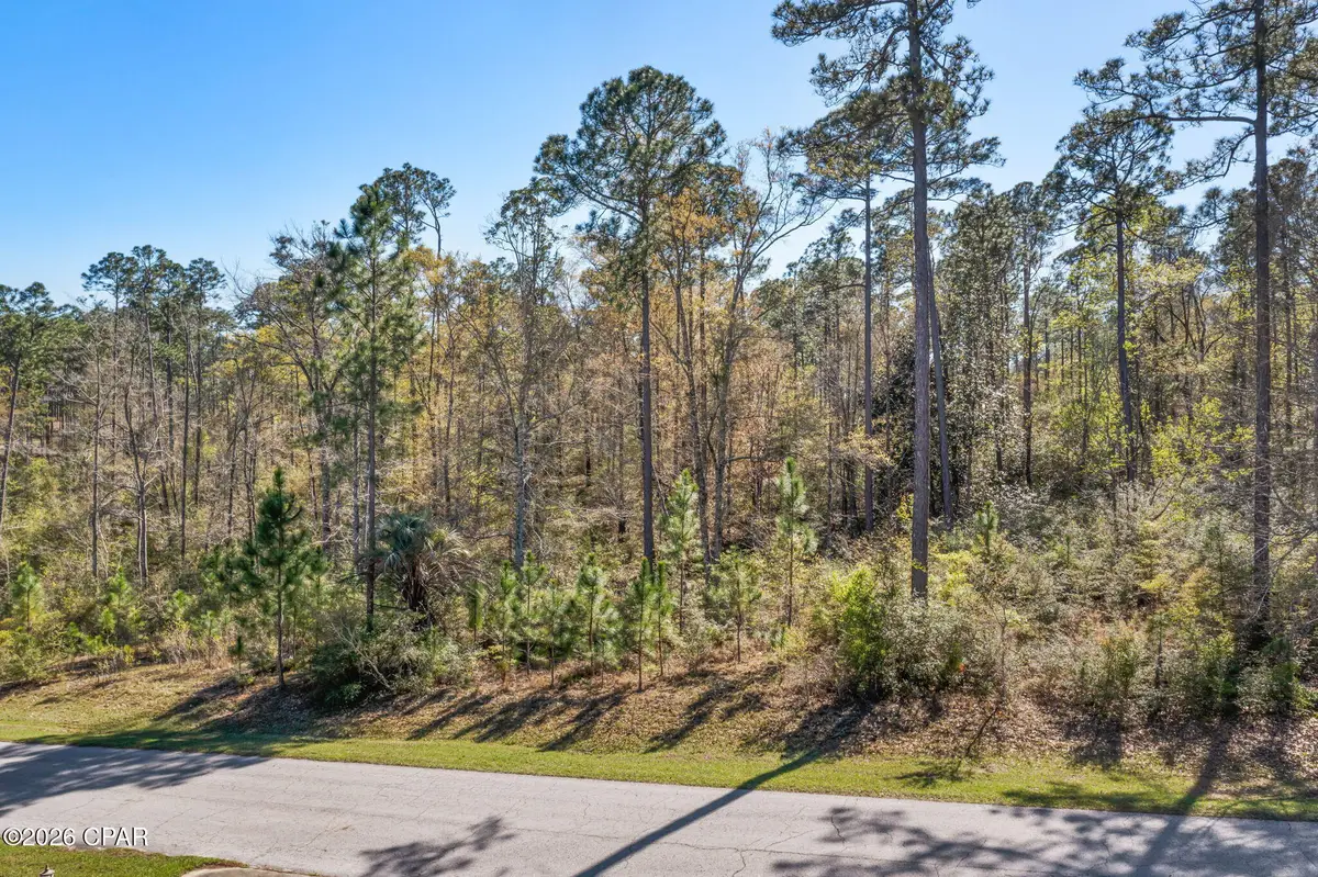 XXX Pine Bluff Drive, Chipley, FL 32428 - #1