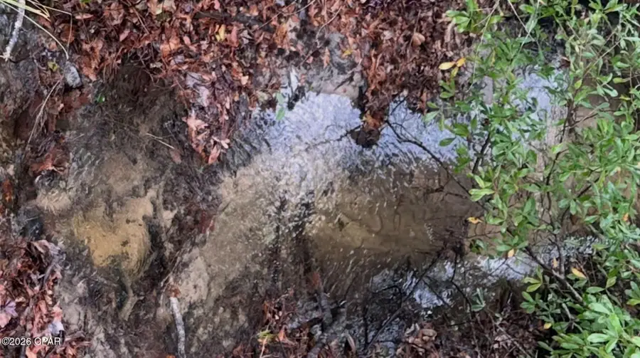 2984 Goodman Hill Road, Chipley, FL 32428 - #2