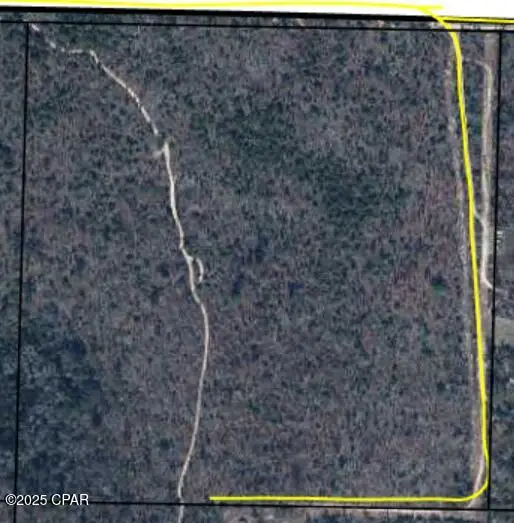 TBD Twin Ponds Road, Altha, FL 32421