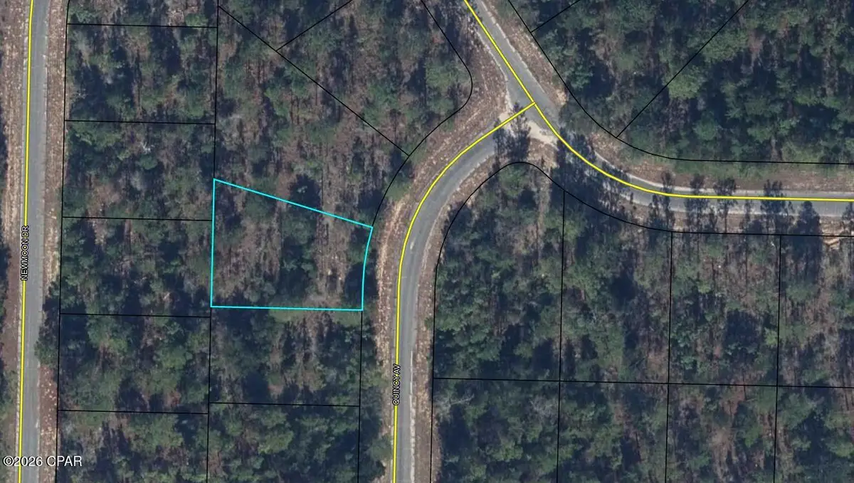Lot 10 Quincy Avenue, Chipley, FL 32428 - #1