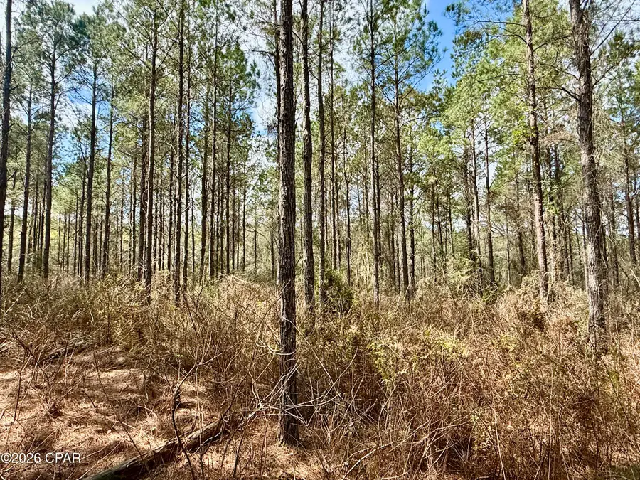 122ac Hwy 179, Bonifay, FL 32425 - #3