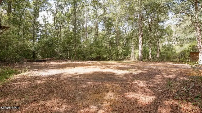 1160 Chance Road, Chipley, FL 32428 - #3