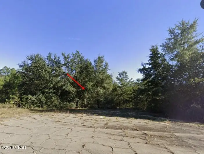 38 Malaluka Court, Chipley, FL 32428 - #1