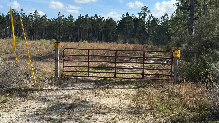 21703 Beech Valley Valley, Altha, FL 32421 - #2