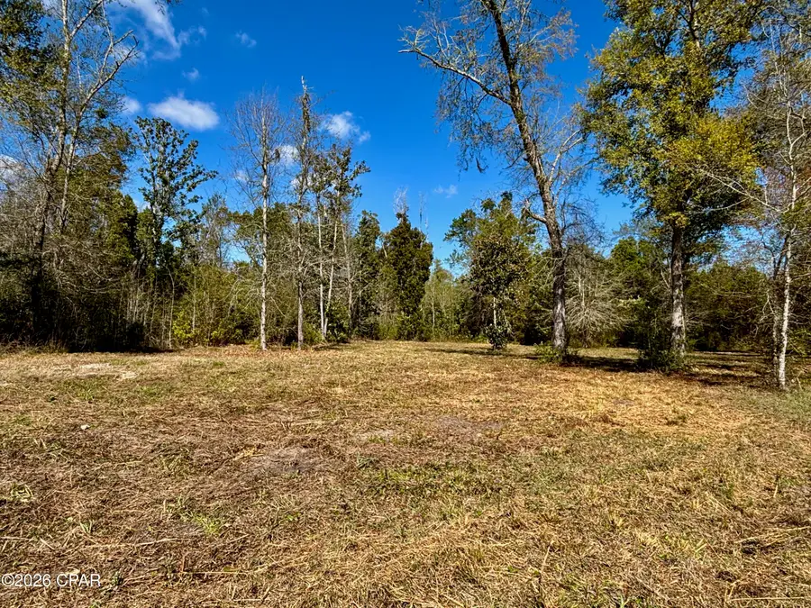703 W River Road, Wewahitchka, FL 32465 - #2