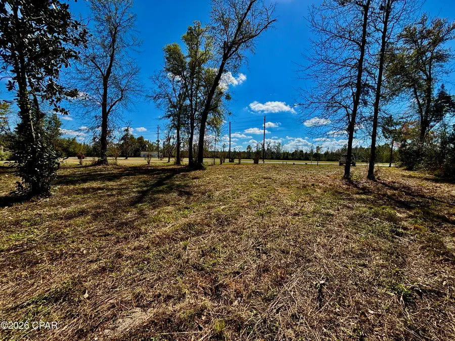 703 W River Road, Wewahitchka, FL 32465 - #3