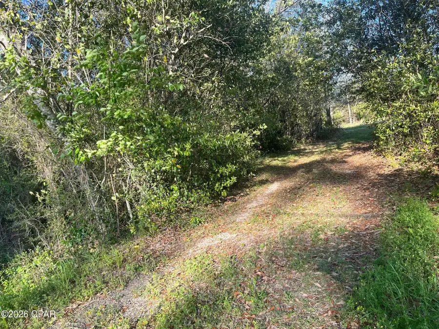 00 Main Street, Grand Ridge, FL 32442 - #2