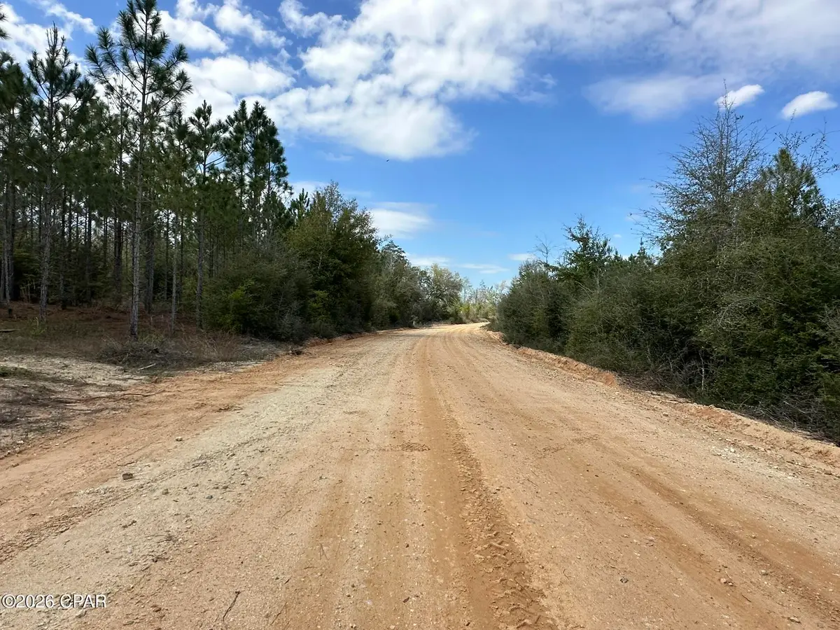 Tract#6418 Mattox Springs Road #S2, Caryville, FL 32427 - #1