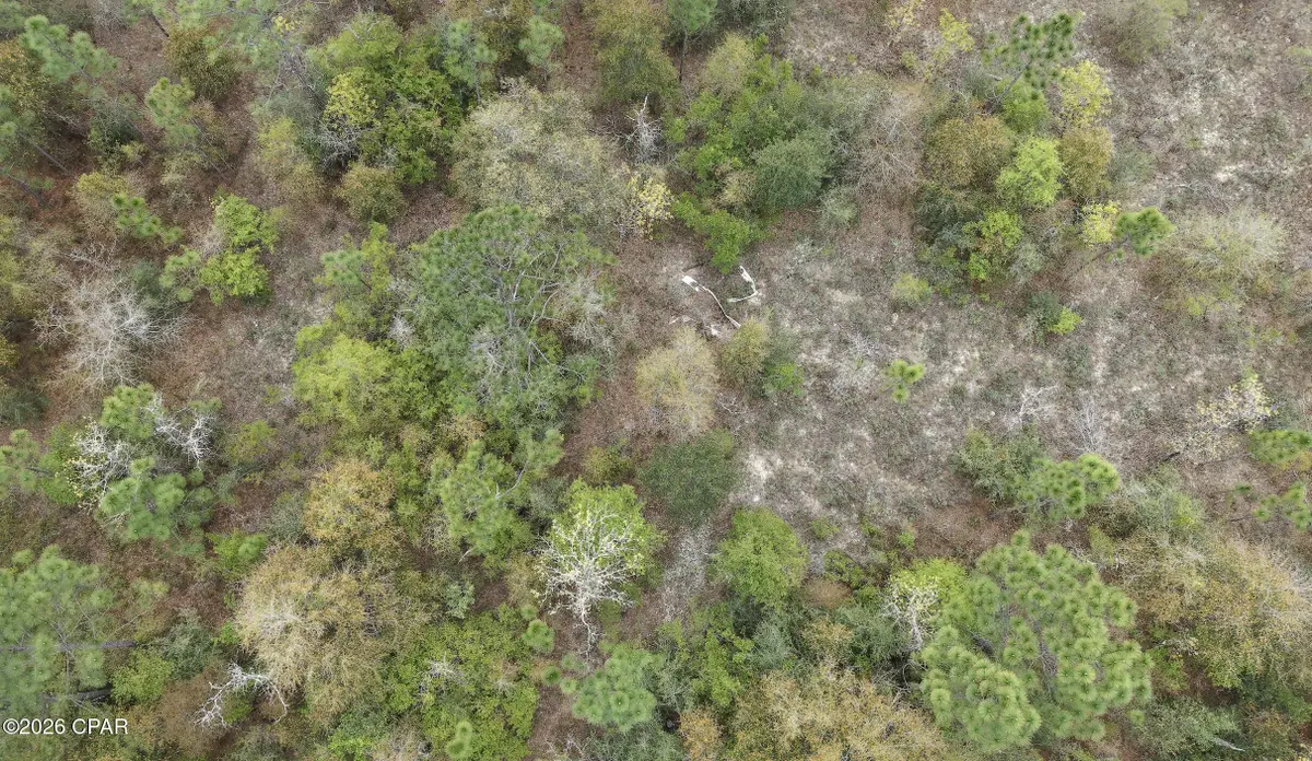 000 Darlington Drive, Chipley, FL 32428 - #1