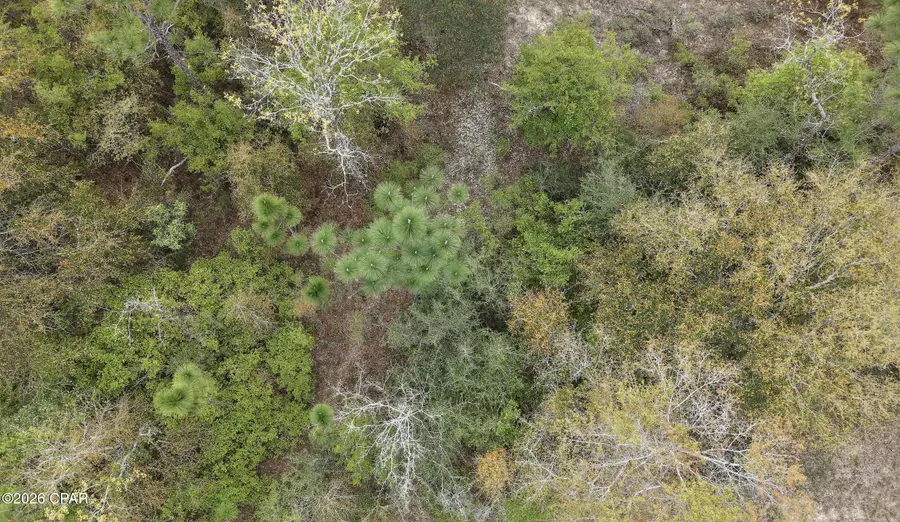 000 Darlington Drive, Chipley, FL 32428 - #3