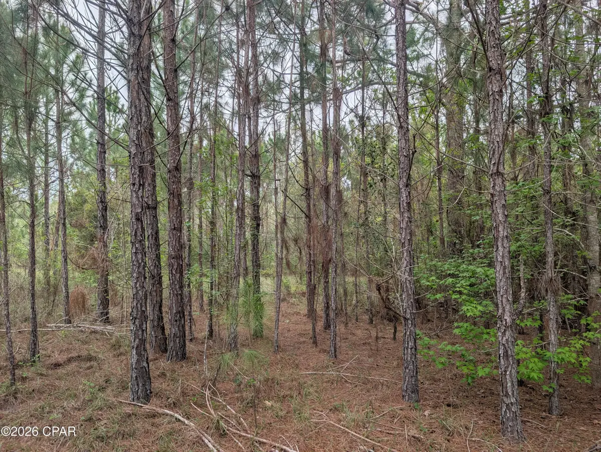 0 Sumac Road #Lot 49, Westville, FL 32464 - #1