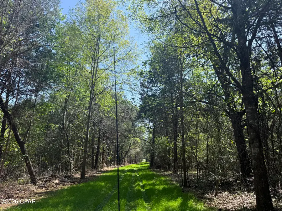 TBD Sheffield Drive, Marianna, FL 32446 - #2