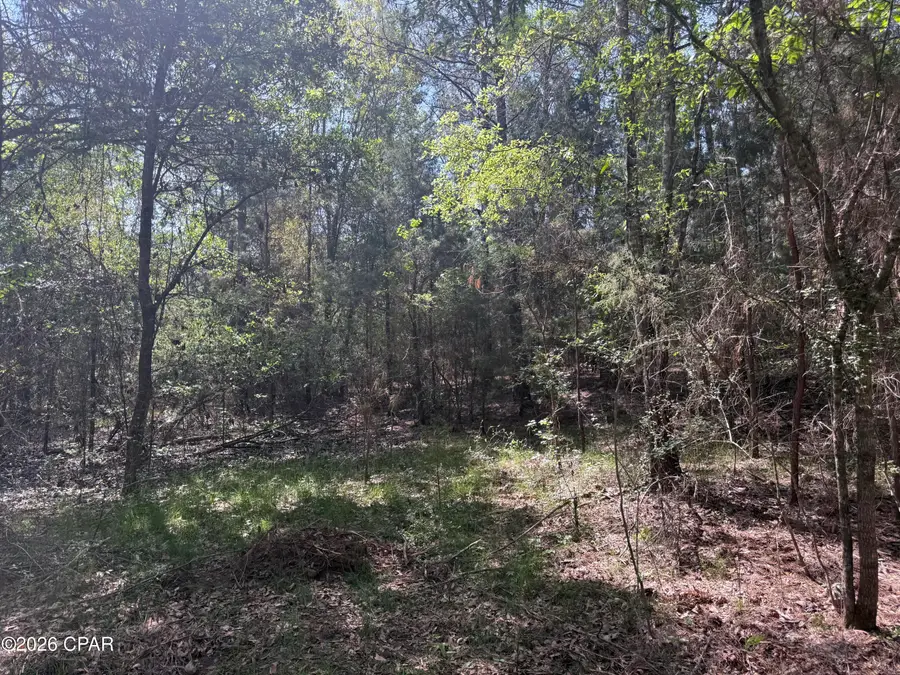 TBD Sheffield Drive, Marianna, FL 32446 - #3