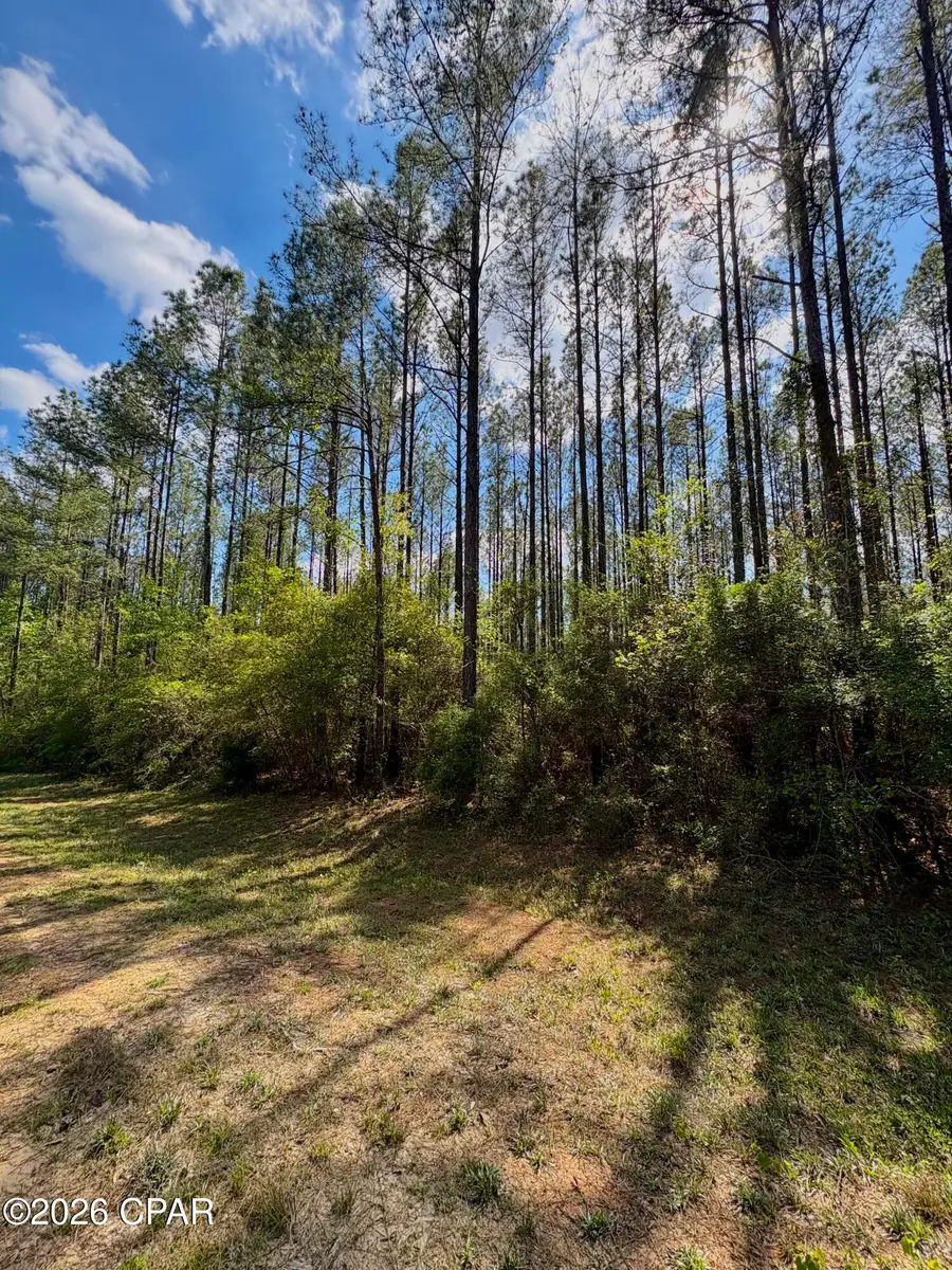 Address Withheld By Seller, Westville, FL 32464 - #3
