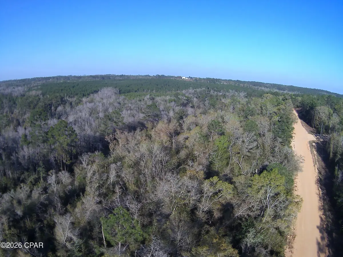 TBD Olivia Drive, Alford, FL 32420 - #1