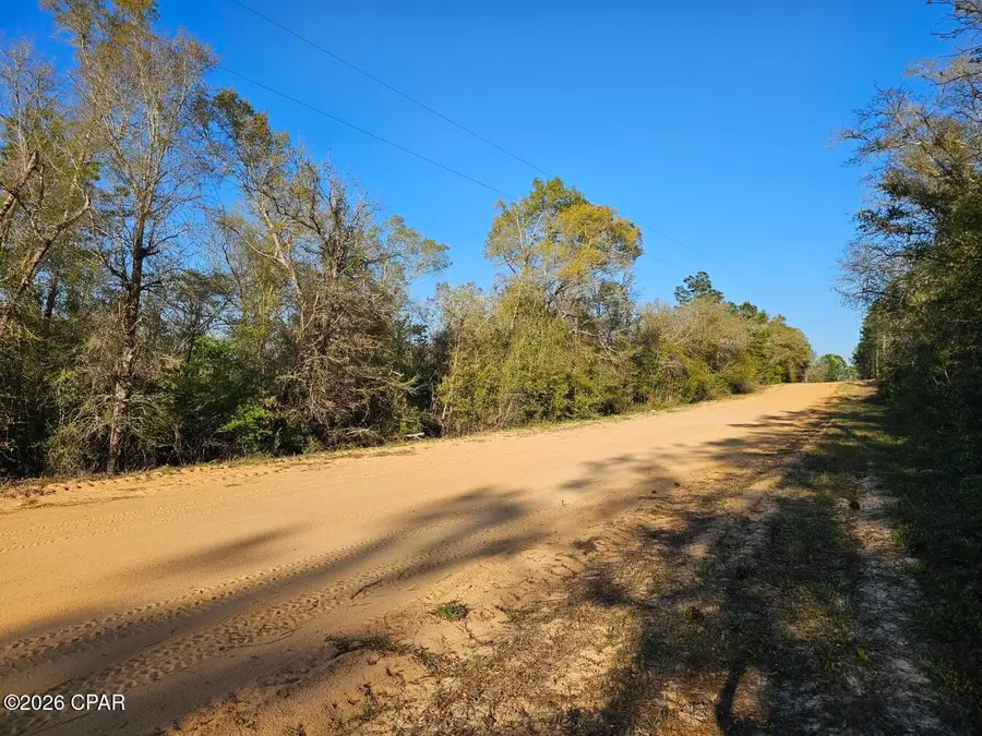 TBD Olivia Drive, Alford, FL 32420 - #3