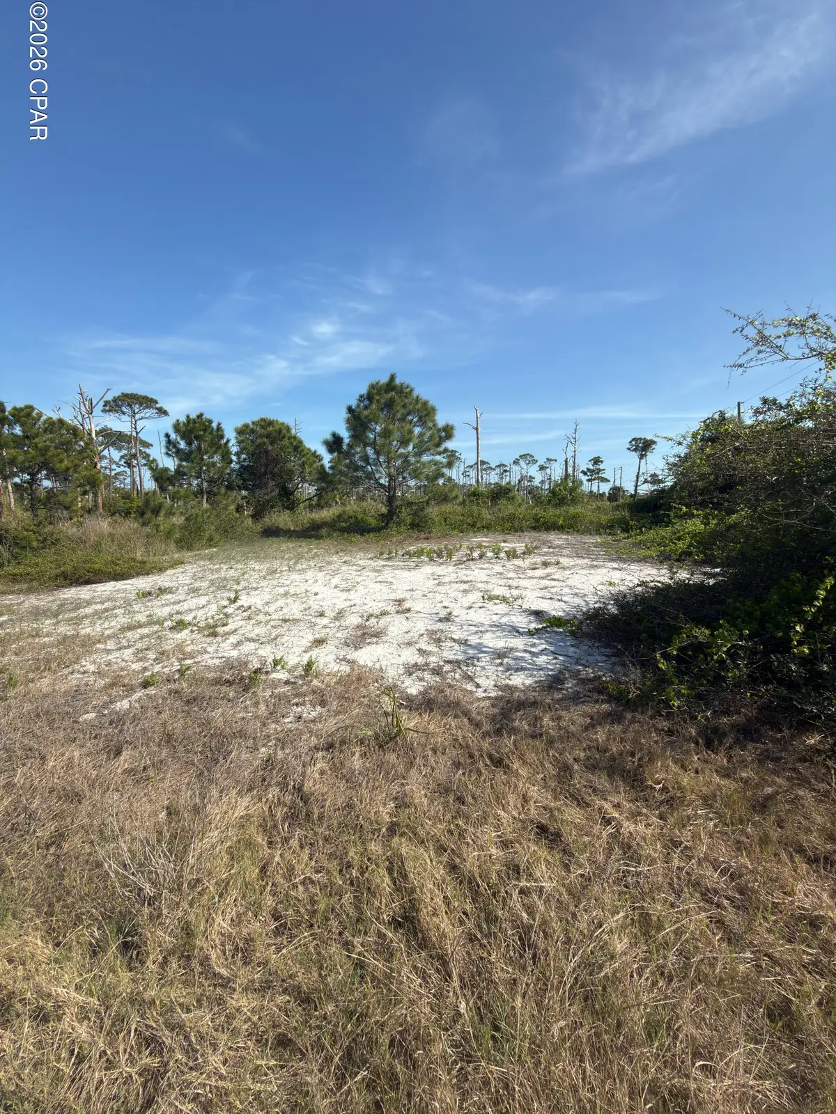 TBD Cape San Blas Road, Port Saint Joe, FL 32456 - #1
