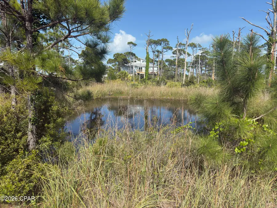 TBD Cape San Blas Road, Port Saint Joe, FL 32456 - #3