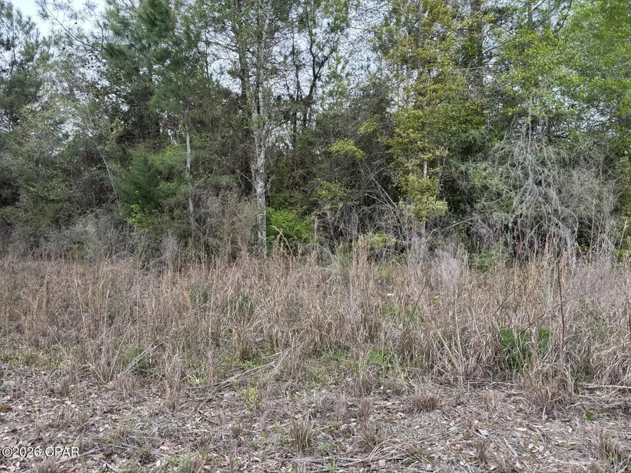 X NW Cook Road, Clarksville, FL 32430 - #3