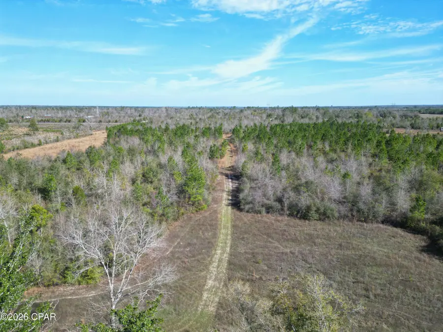 XX Cook/cain Road, Clarksville, FL 32430 - #3